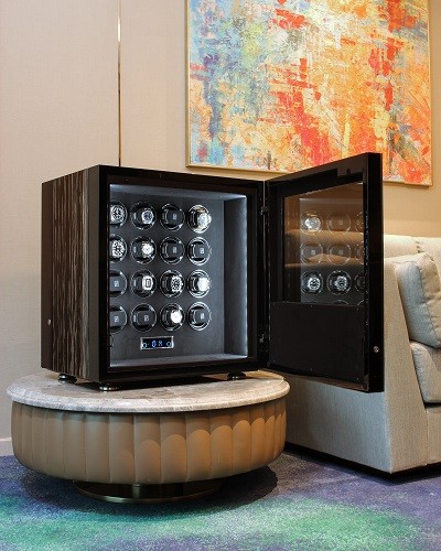 Tips to Choose Your First Watch Winder